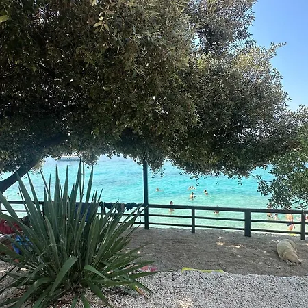 Medusalina-tramontana Trogir
